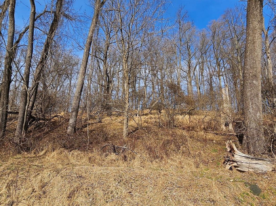 Ma and Pa Trail-Bel Air必去景点