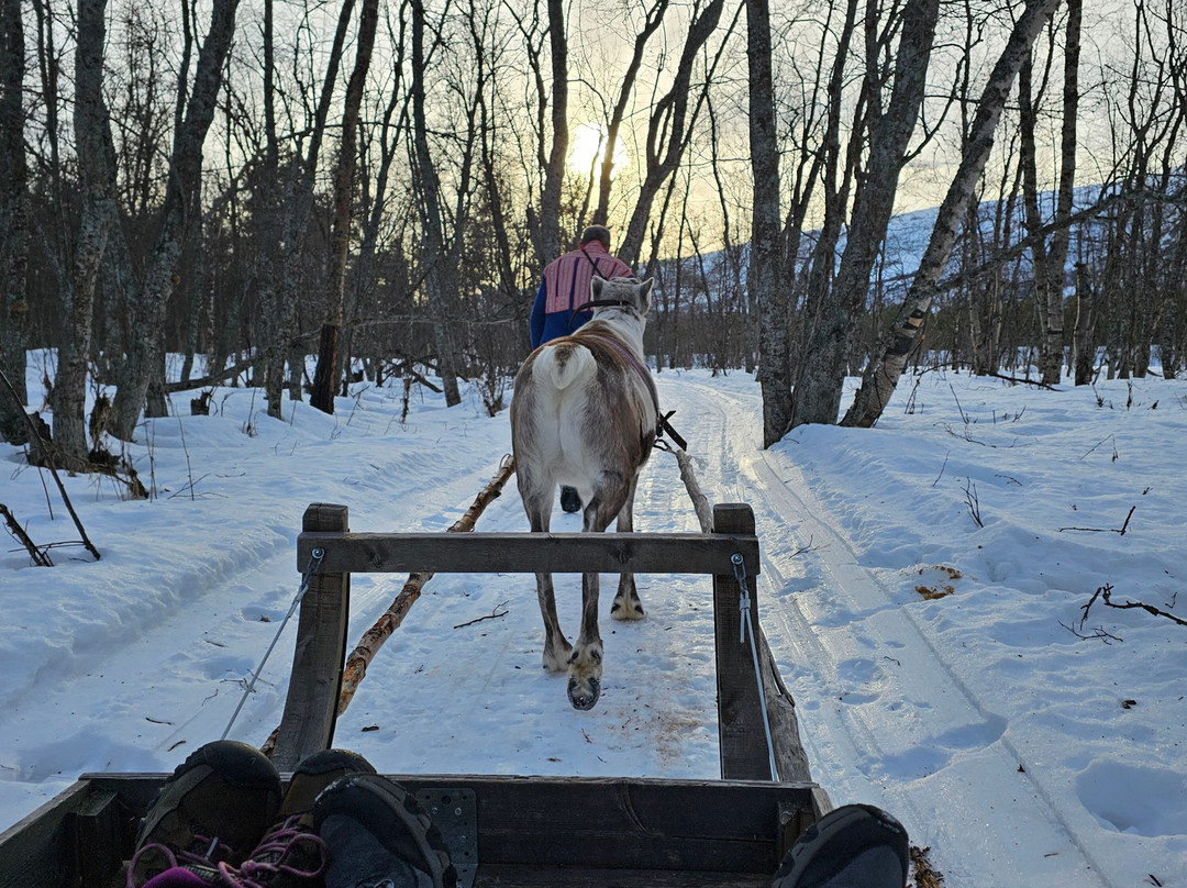Sorrisniva Arctic Wilderness Lodge主图