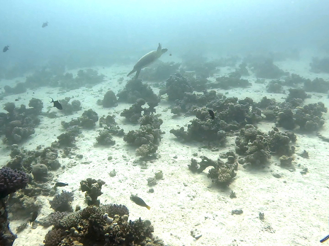 Extra Divers Sharm El Naga-Safaga必去景点