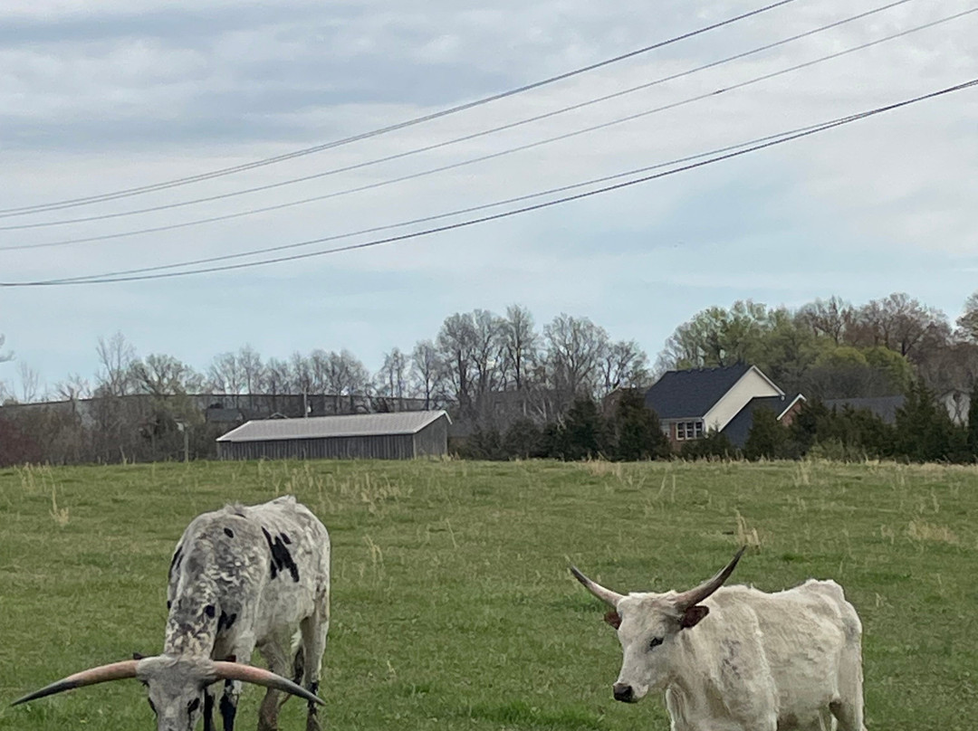 Preservation Distillery + Farm-Bardstown必去景点
