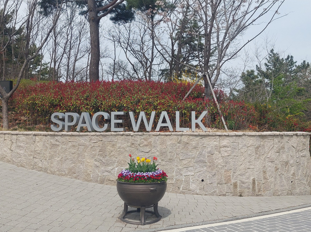 Hwano Park Space Walk景点图片