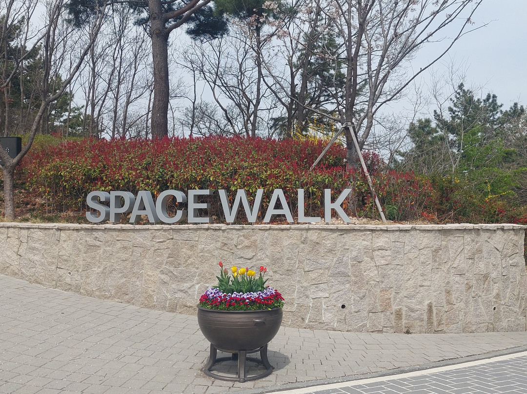 Hwano Park Space Walk-浦项市必去景点