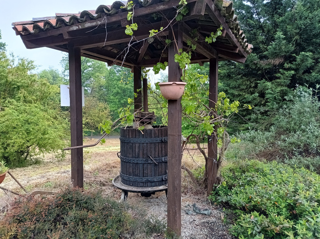 B&B Cascina Rossa主图