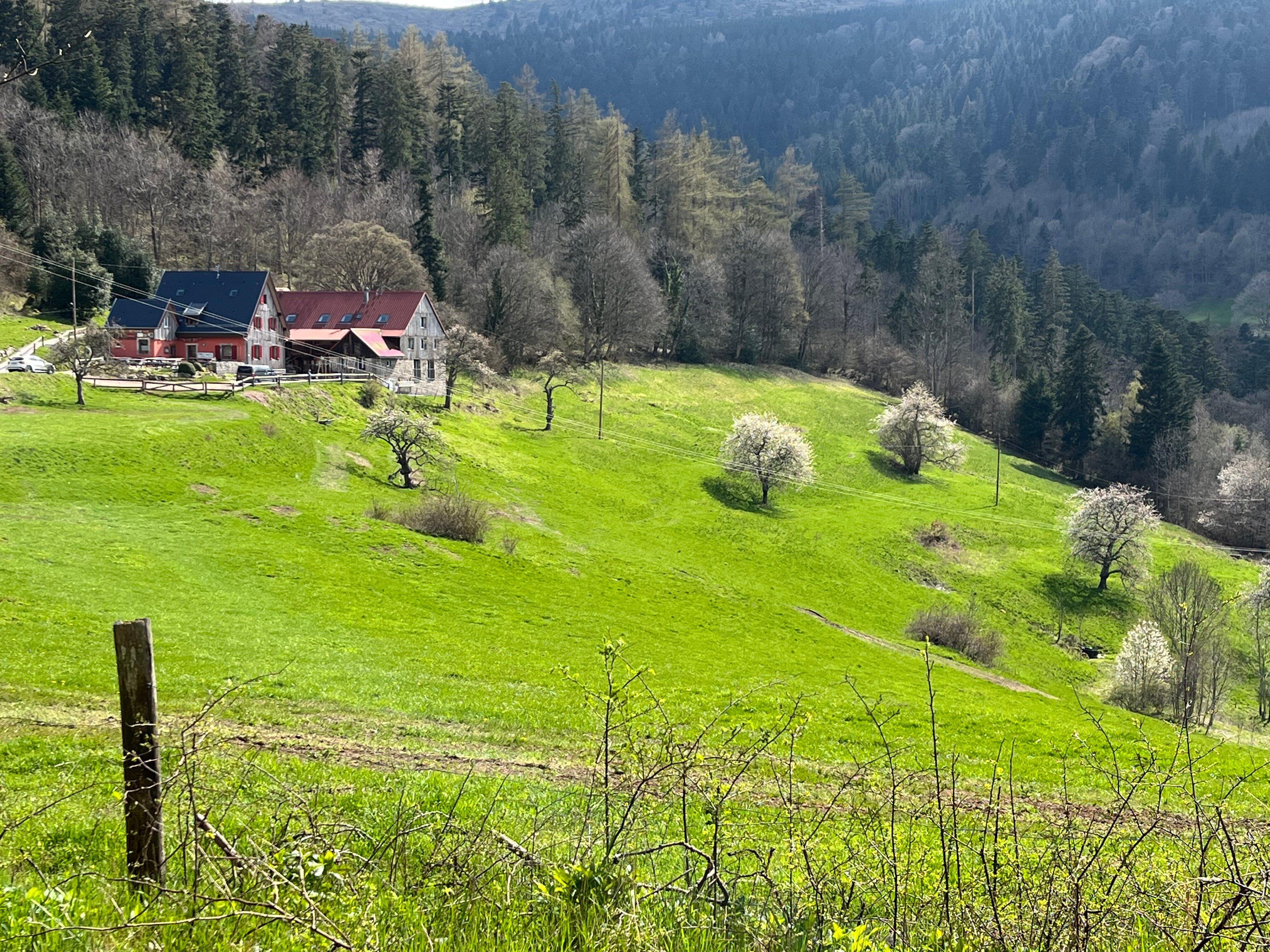 Ferme Auberge du Christlesgut-官方