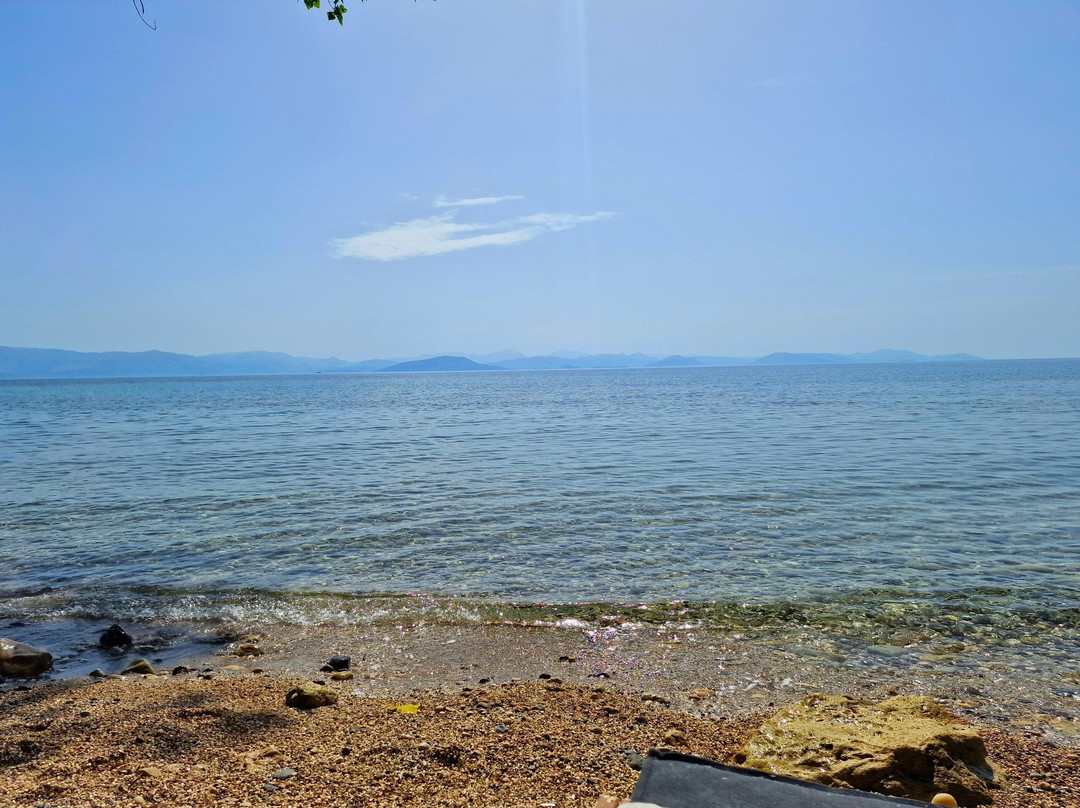 Eleals Boutique Hotel主图