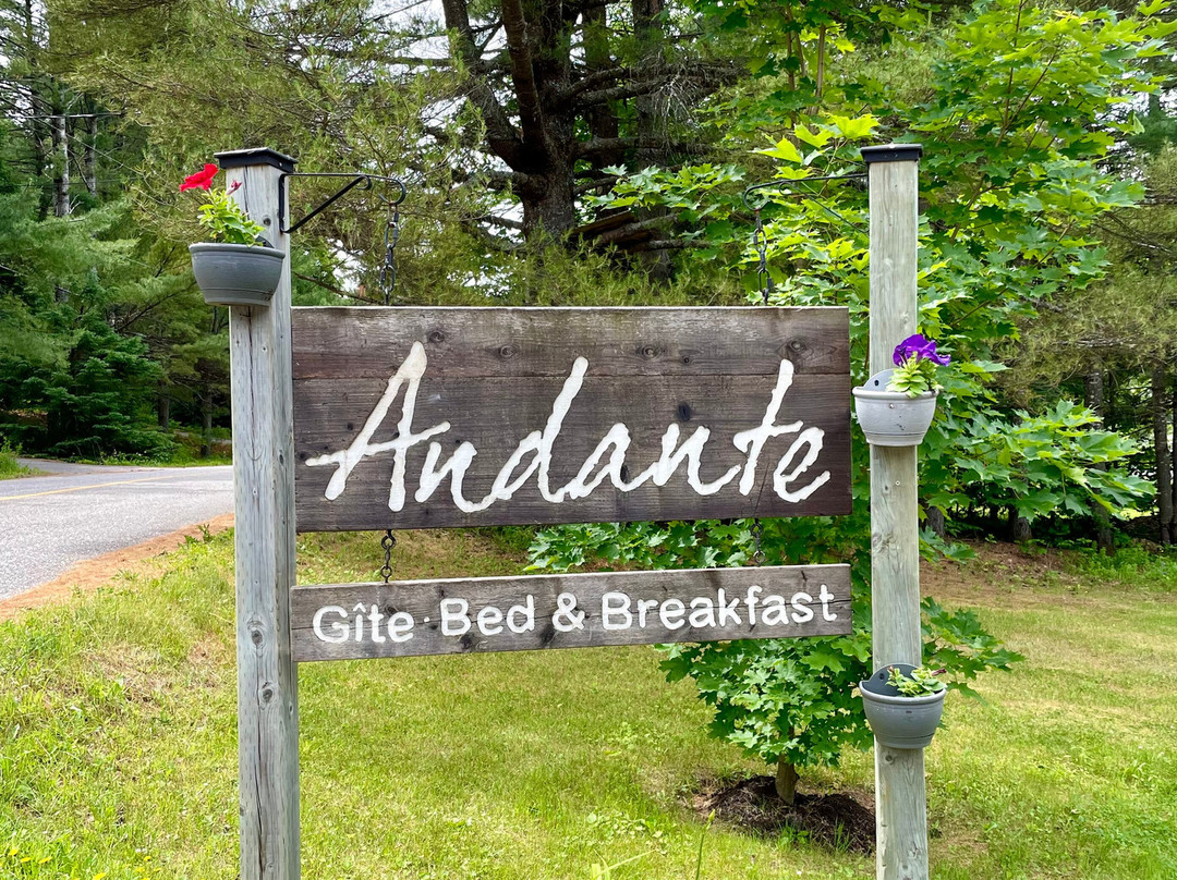 Andante Bed and Breakfast主图