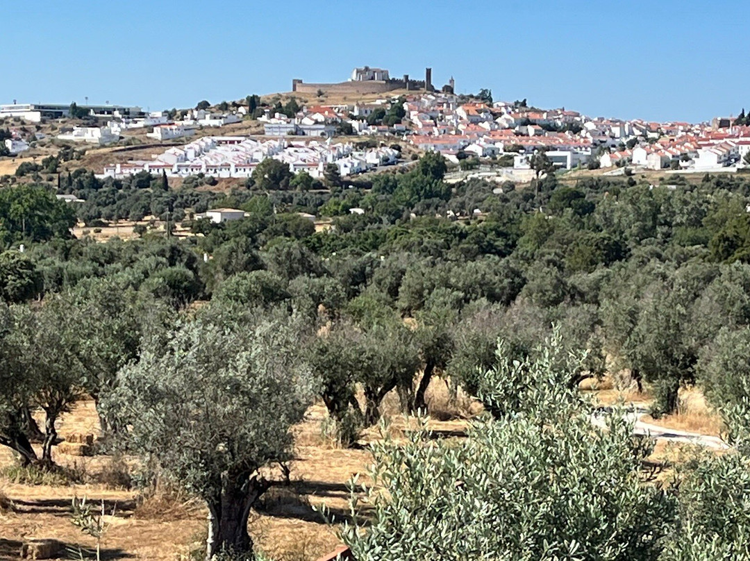 Villa Extramuros主图