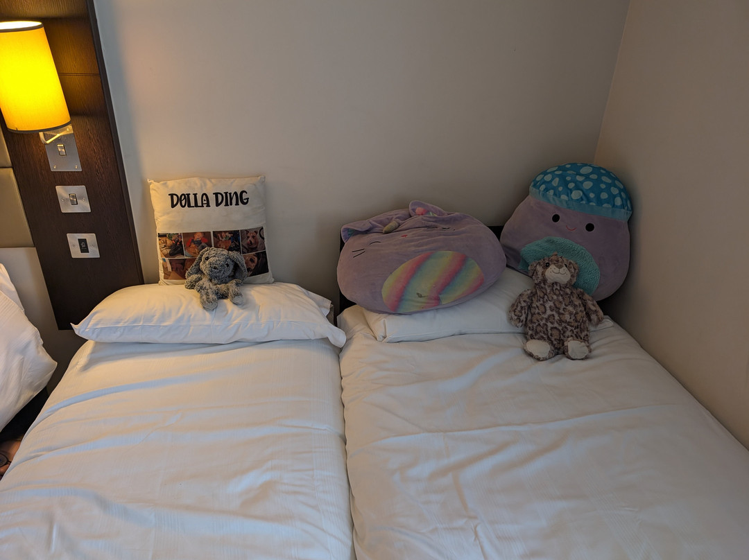 莱斯特布劳恩斯通普瑞米尔酒店主图