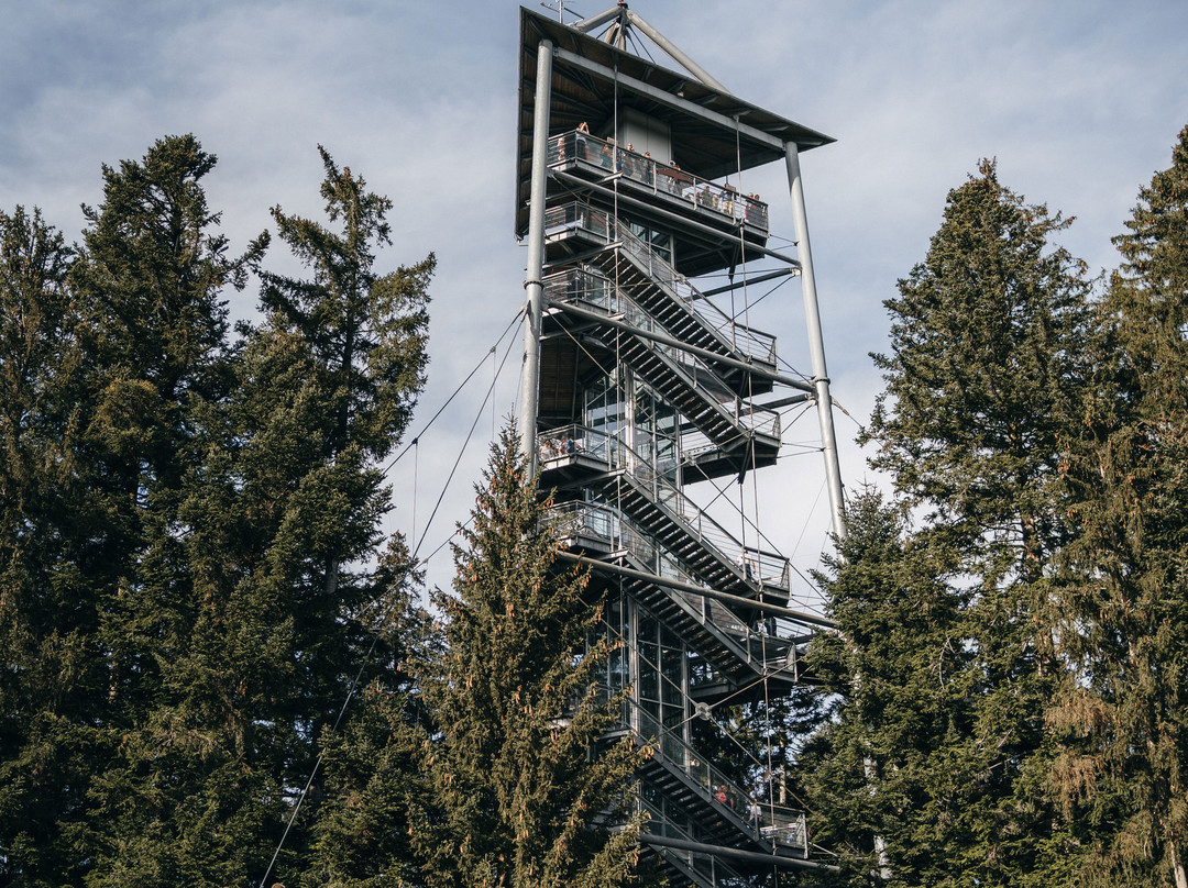 Waldwelt Skywalk Allgäu-Scheidegg必去景点