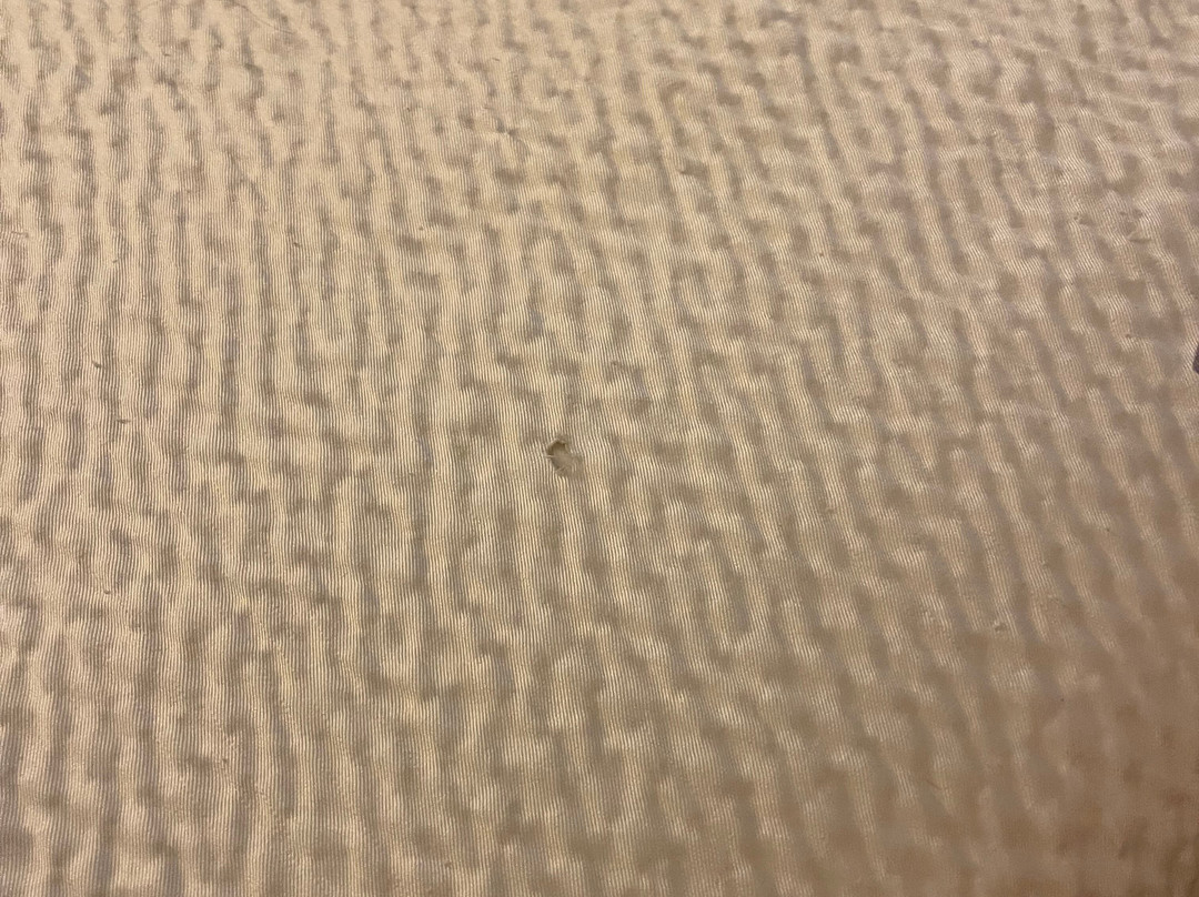 Red Roof Inn Acworth - Emerson/ LakePoint South主图