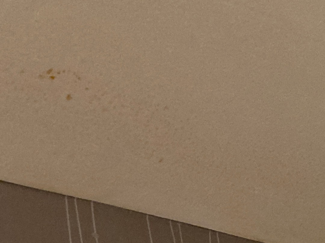 Courtyard by Marriott Kansas City East/Blue Springs主图