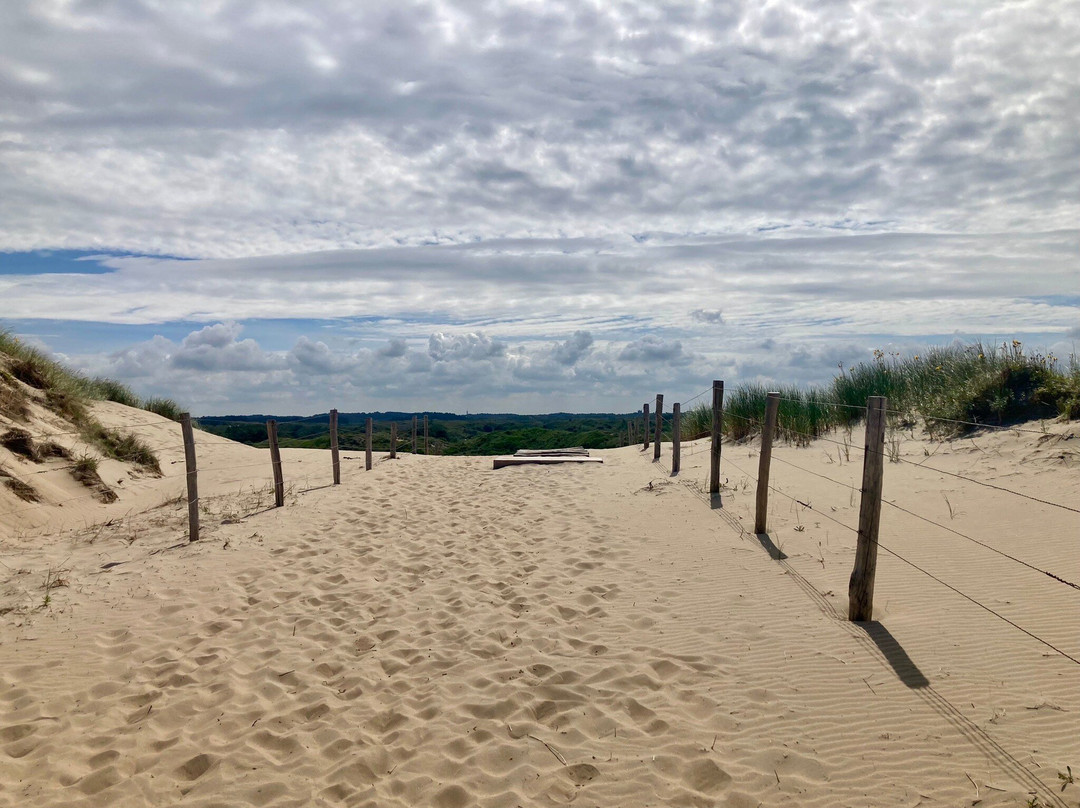 Strand Bloemendaal Aan Zee景点图片