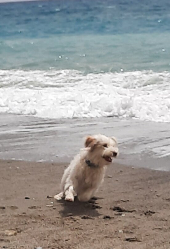 Rin Tin Beach景点图片