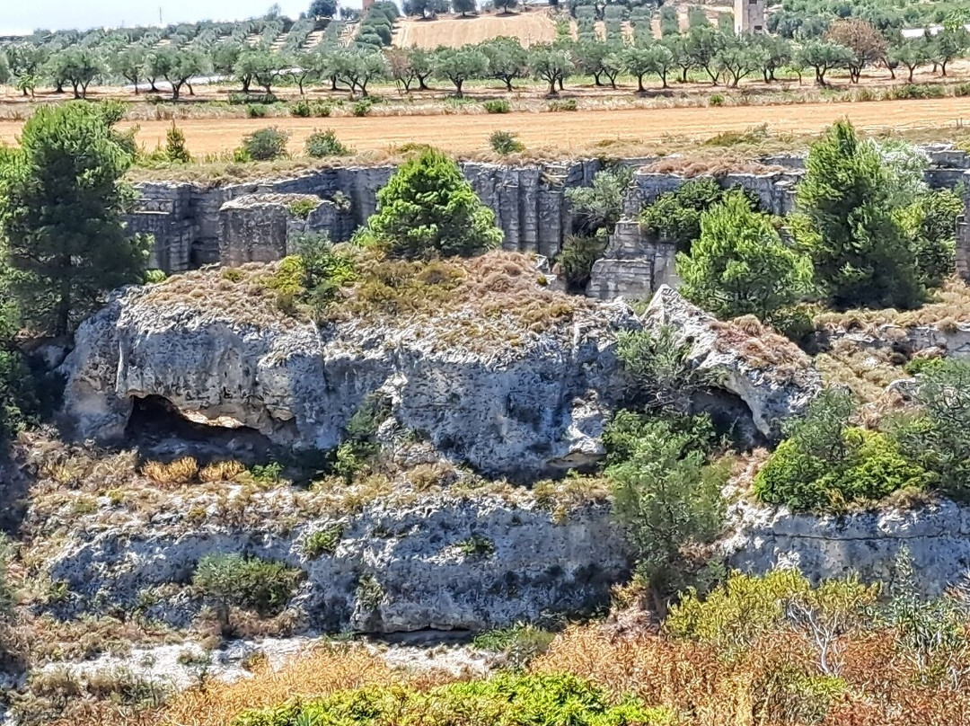 Gravina di Riggio景点图片