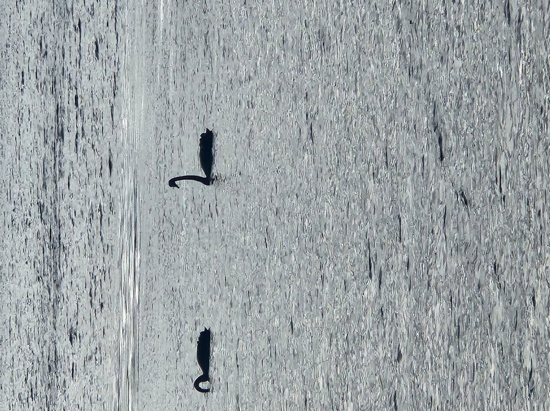 Safety Cove Beach-亚瑟港必去景点