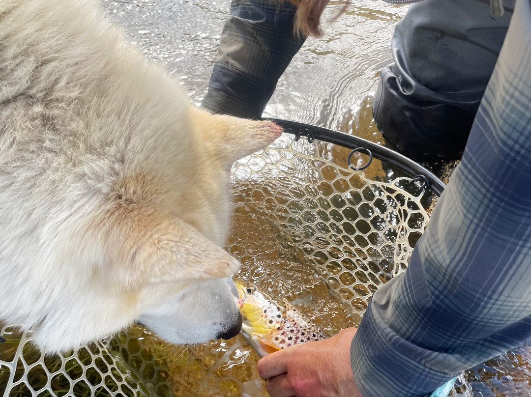 5280 Angler-阿瓦达必去景点