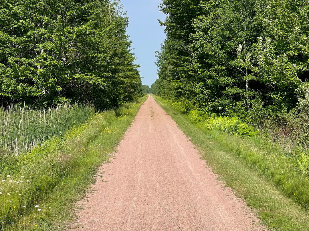 PEI Cycling Tours-Stratford必去景点