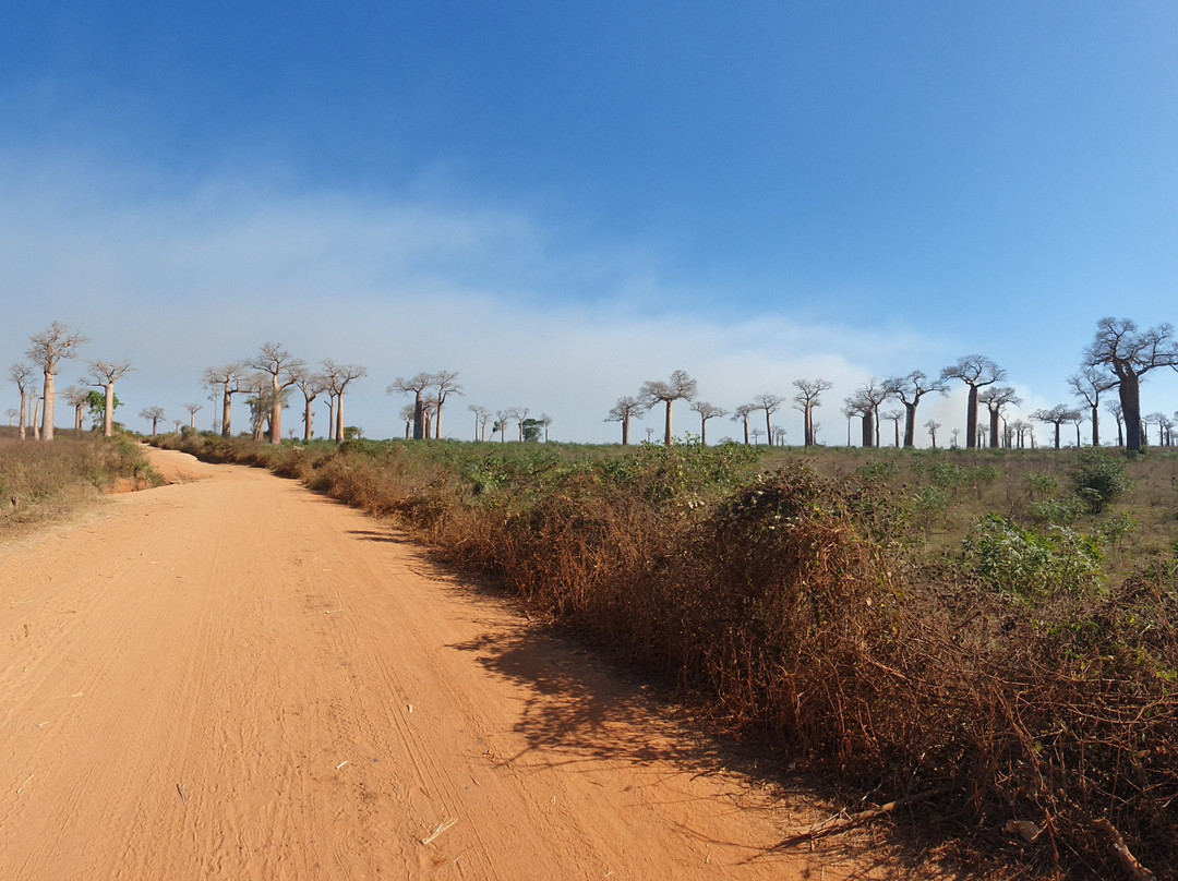 TSINGY TOURS景点图片