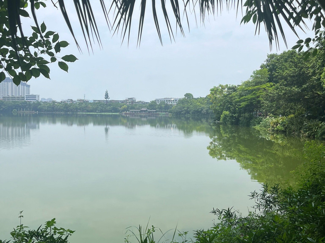 贵港东湖-贵港市必去景点