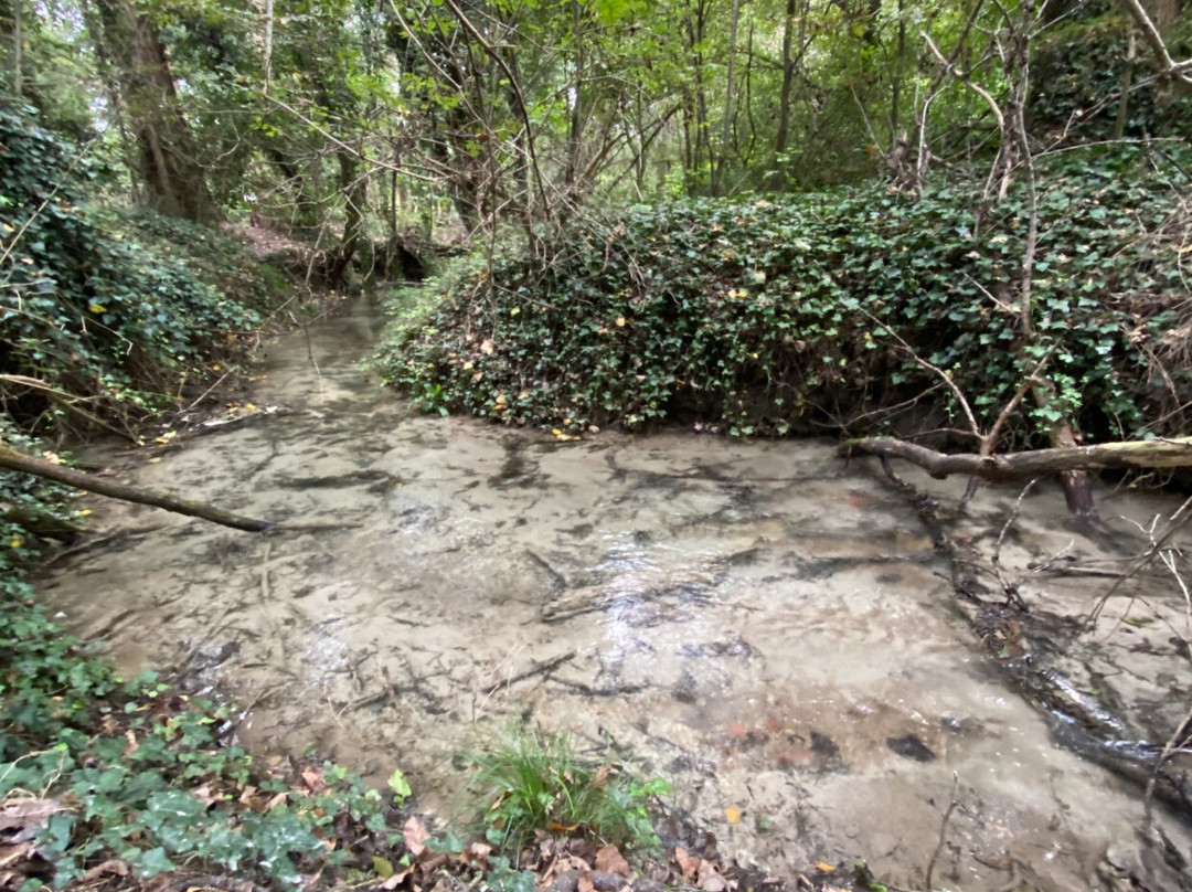 Parco Naturale Regionale del Fiume Sile-特雷维索必去景点