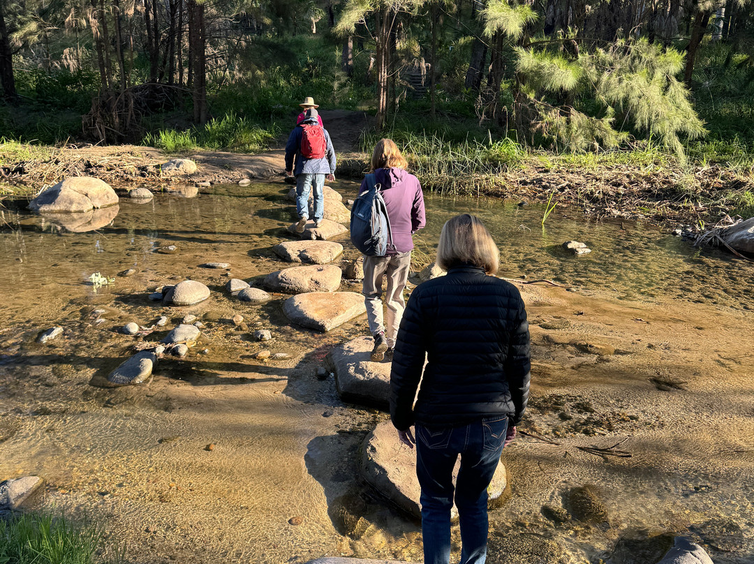 Azure Nature Tours-Carnarvon National Park必去景点