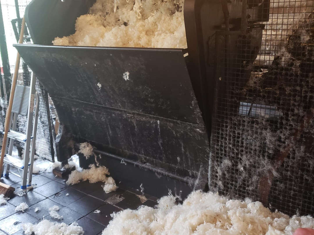 National Wool Museum景点图片
