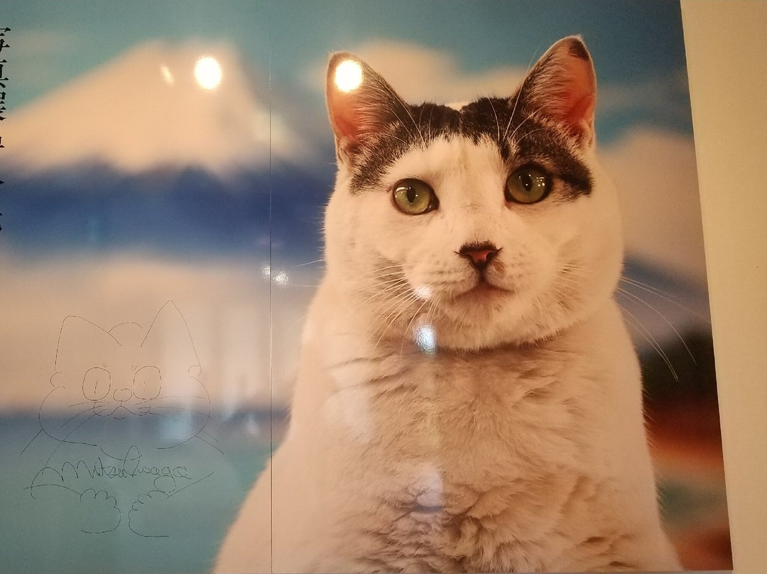 Kushiro Art Museum, Hokkaido-钏路市必去景点