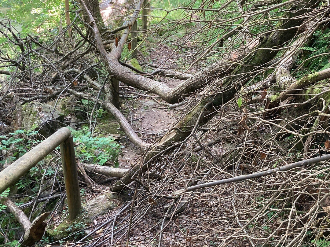 Hoces del Esva-Paredes必去景点