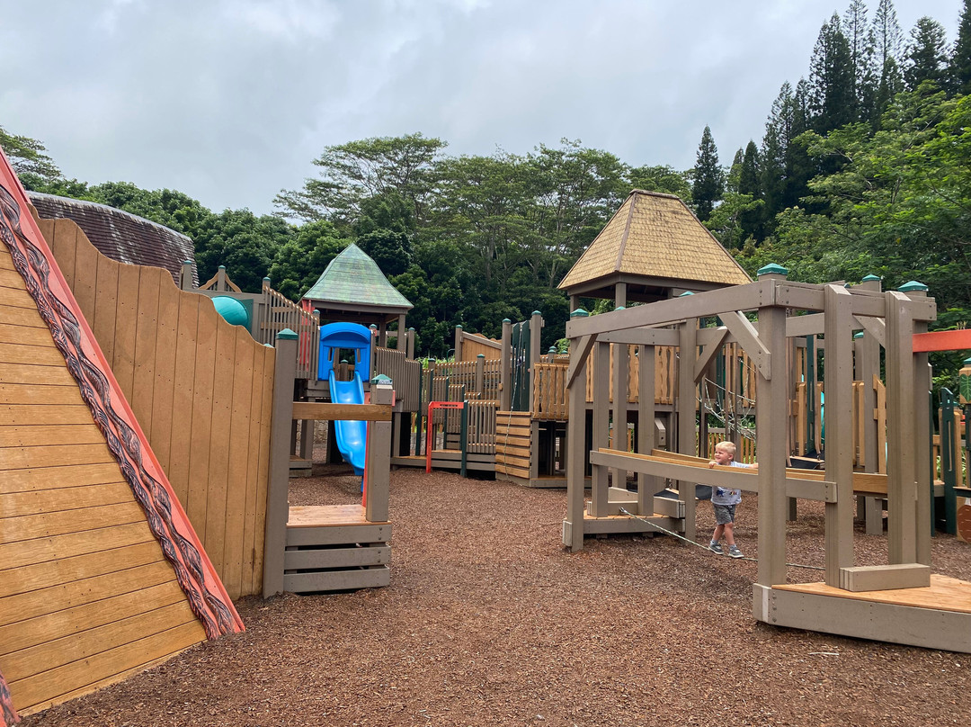 Anaina Hou Community Park-基拉韦厄必去景点