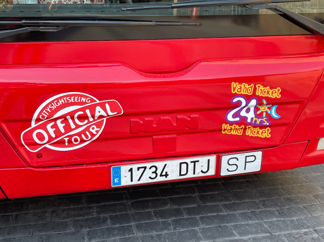 City Sightseeing Toledo景点图片