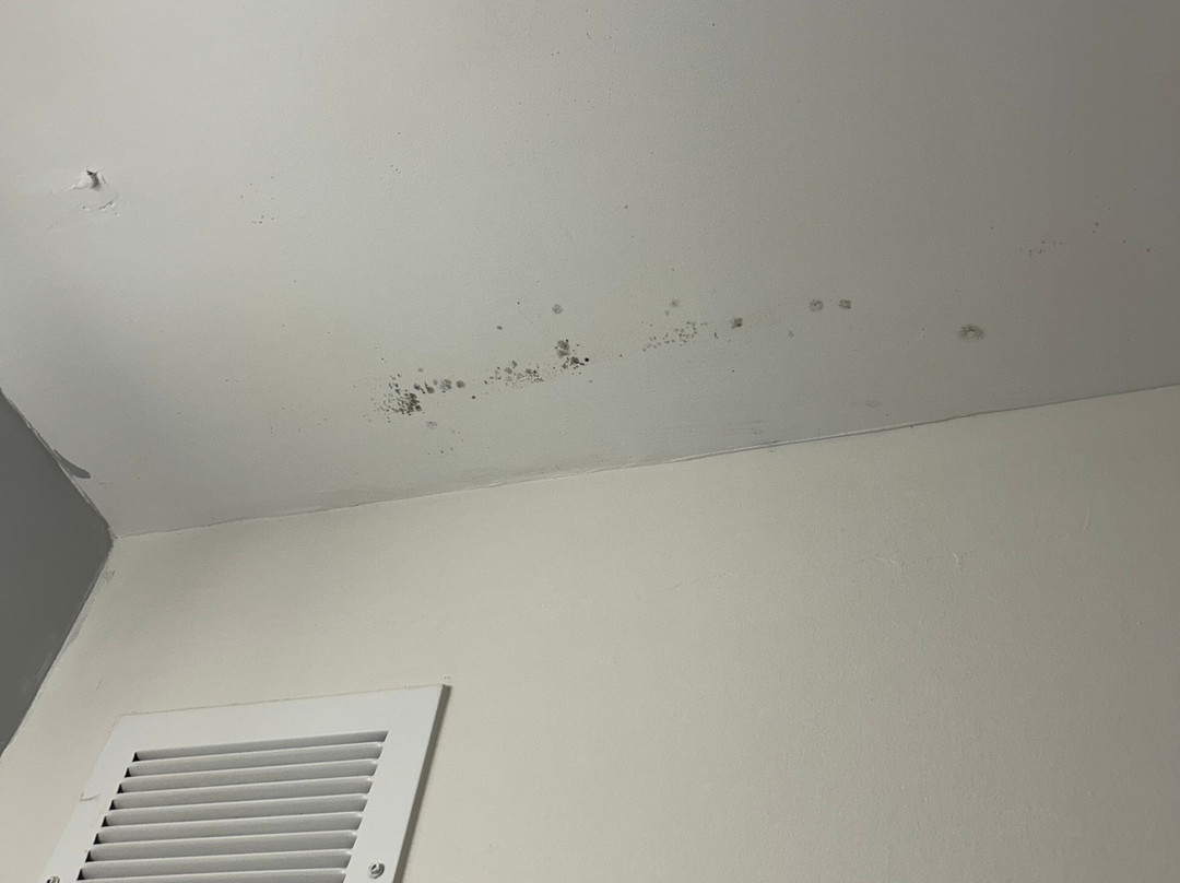 Best Western Plus University Inn主图