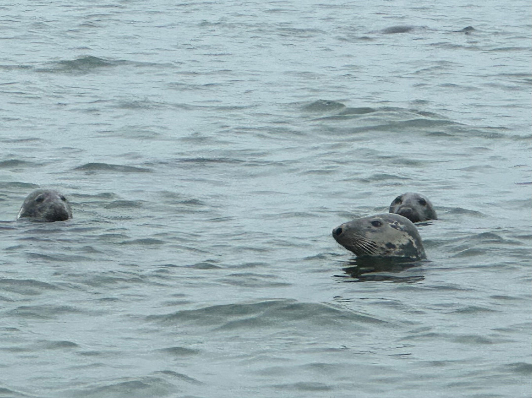 Beachcomber Tours-查塔姆必去景点