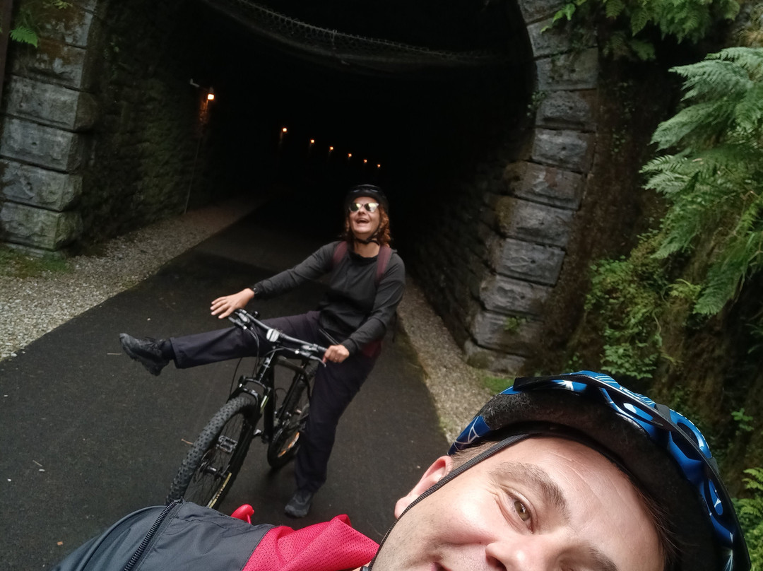 Locomotion Bike Rental-利默里克必去景点