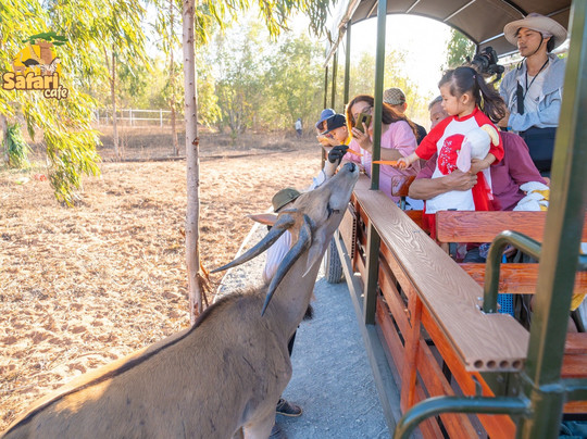 Safari Cafe-藩切市必去景点