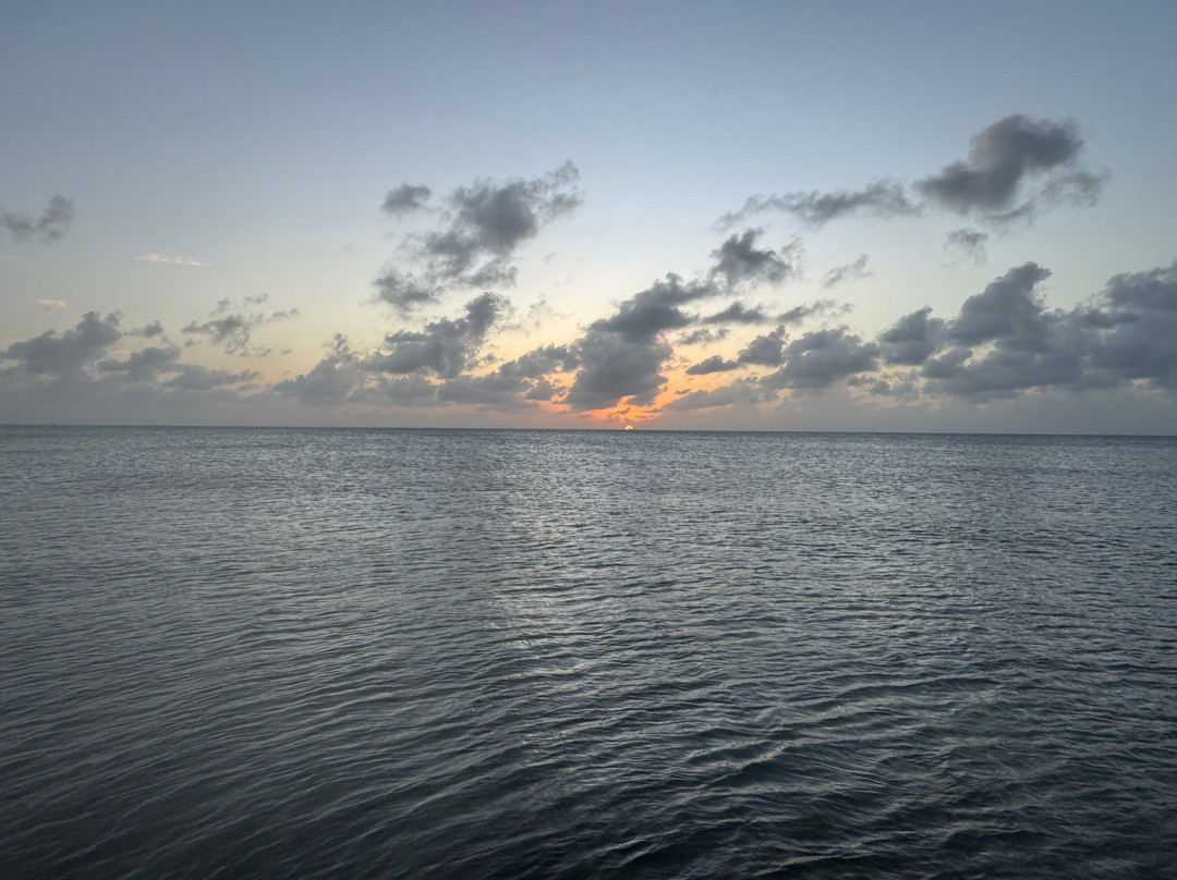 The Shipwreck Survey景点图片