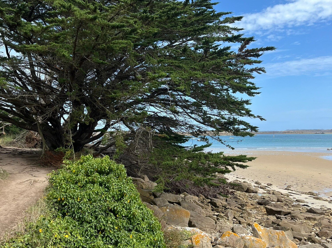 Île-Grande-Pleumeur Bodou必去景点