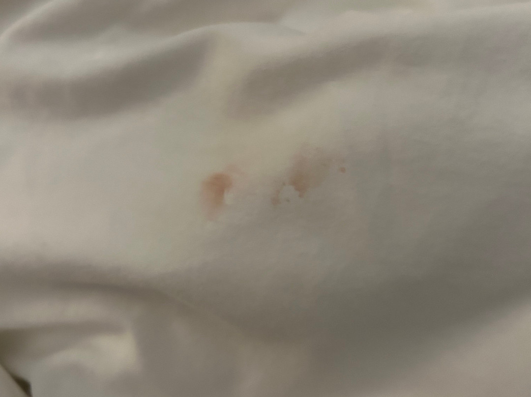 The Neighborhood Hotel New Buffalo主图