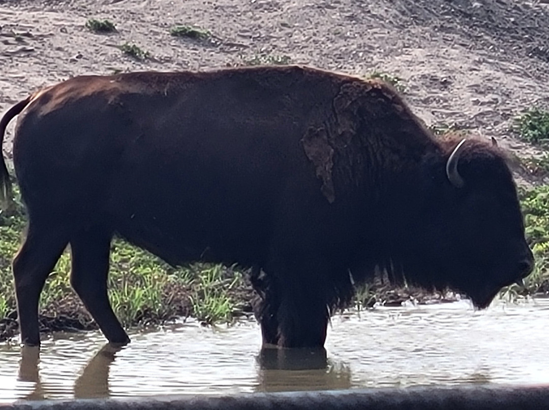 Frontier Park-Hays必去景点