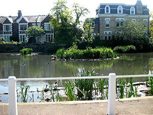 Kew Green景点图片