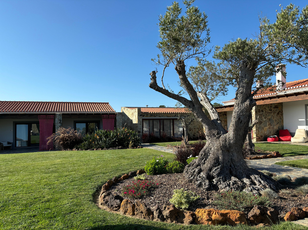 Monte do Cardal主图