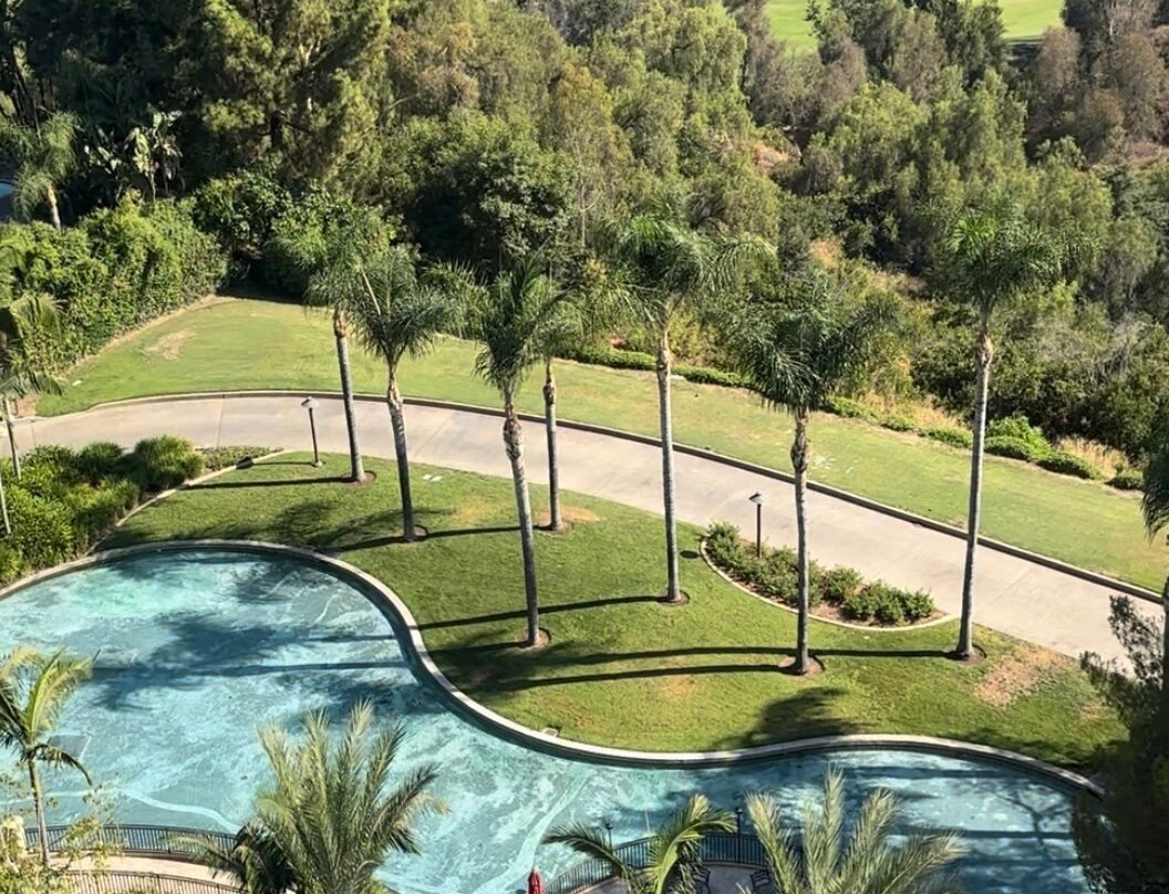 太平洋棕榈度假酒店主图