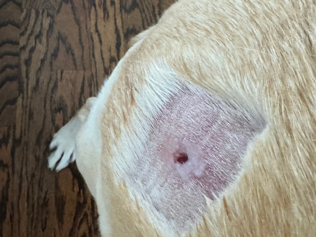 Bitterroot River Inn & Conference Center主图