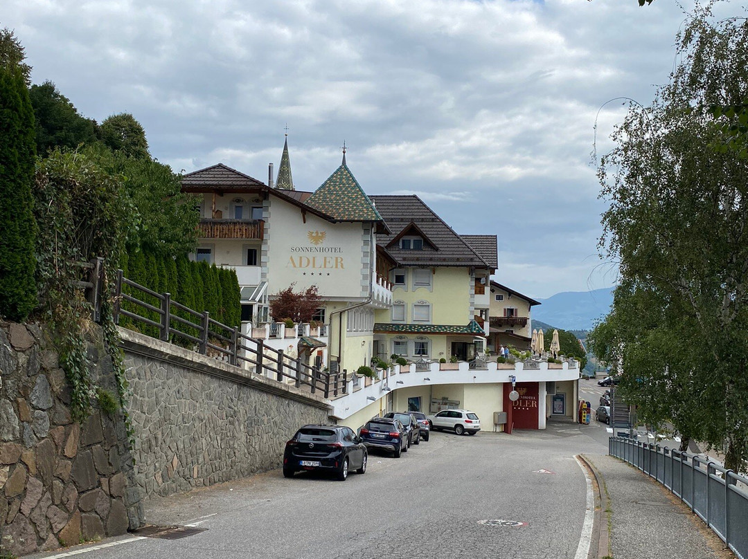 Sonnenhotel Adler主图