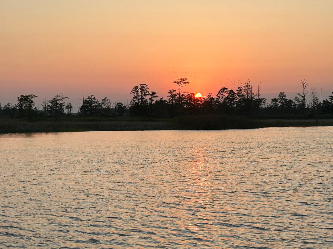 Wilmington Water Tours-威尔明顿必去景点