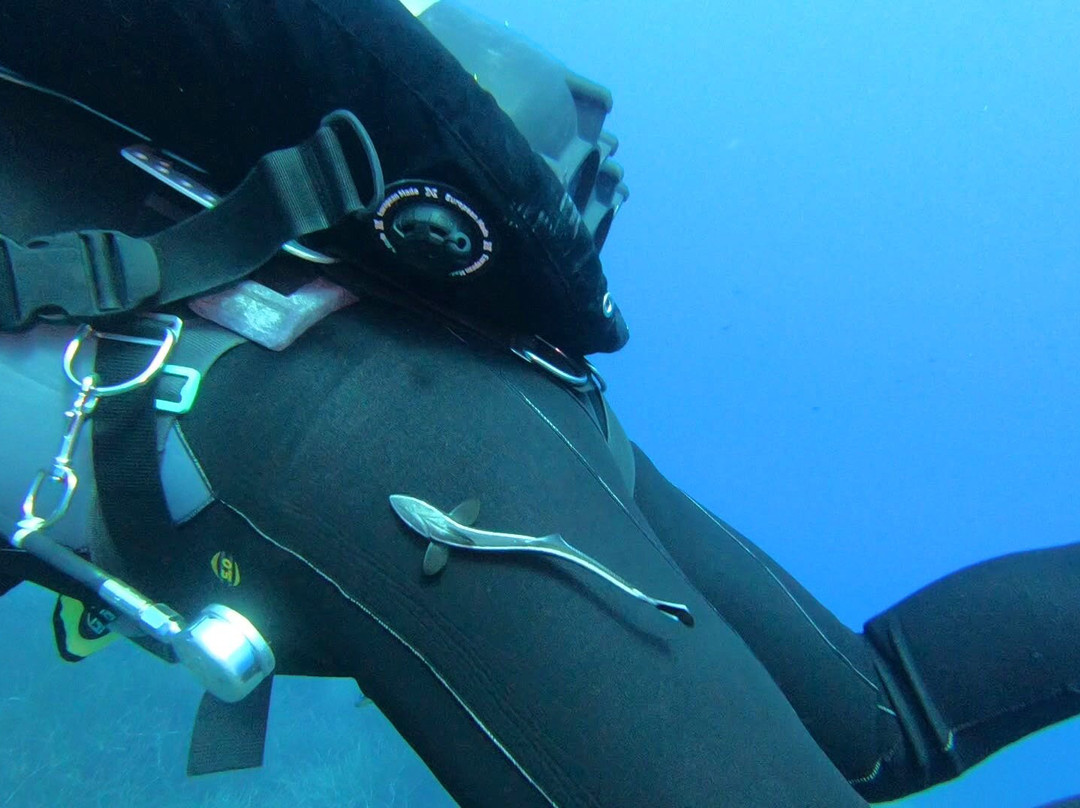 Mistral Diving-Castelsardo必去景点