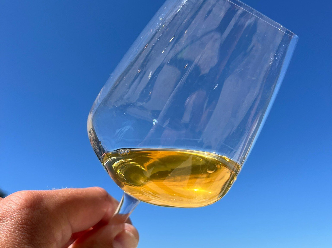 Vinhos Cortém景点图片