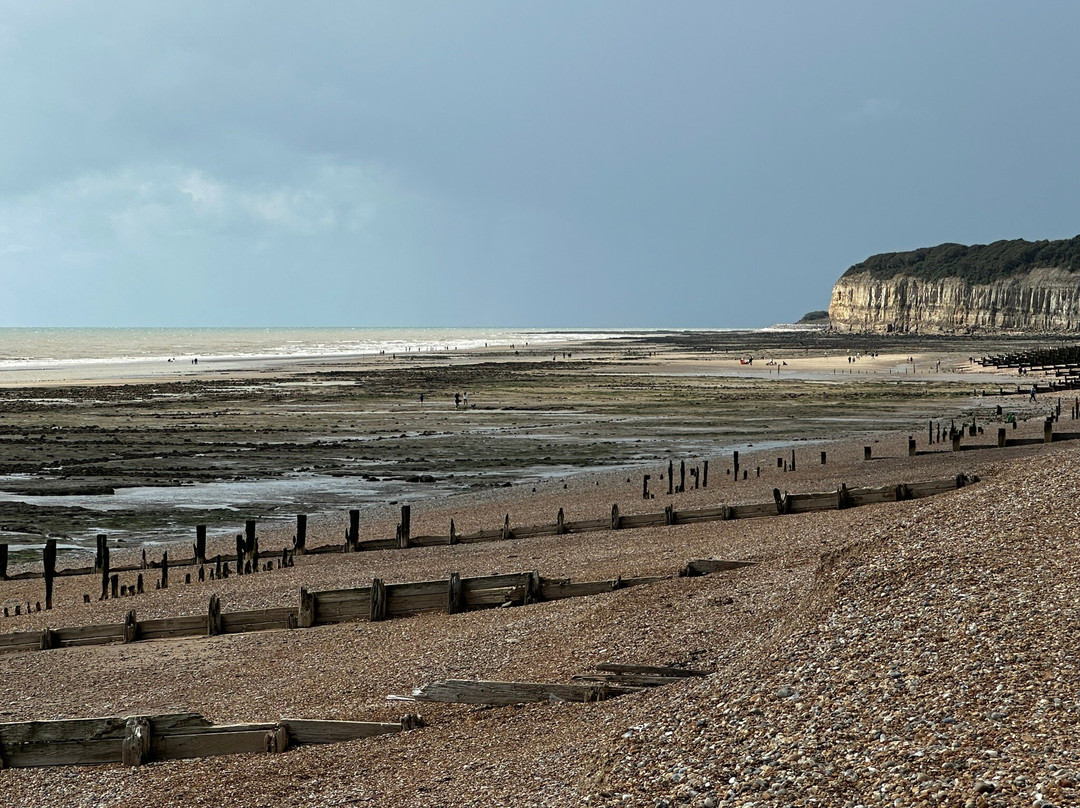 Pett Level Beach景点图片