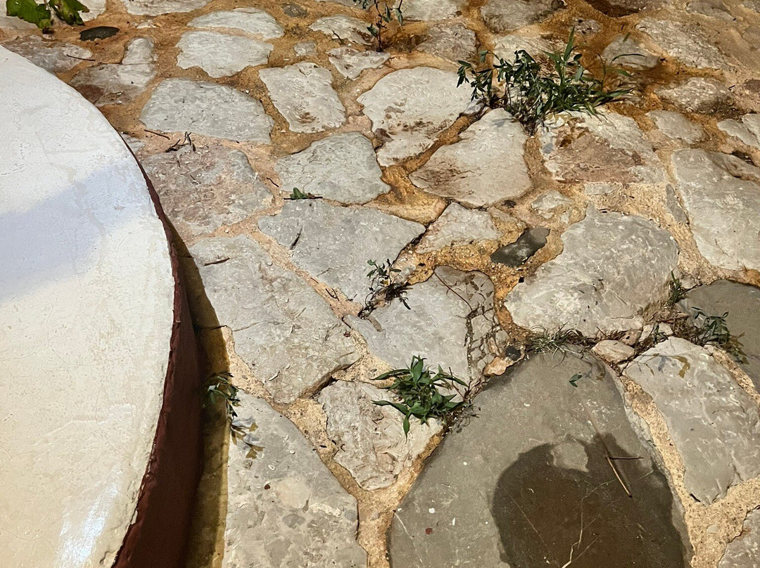 亚特兰提斯之家主图