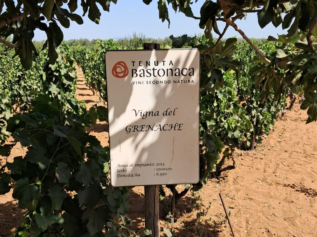 Tenuta Bastonaca景点图片
