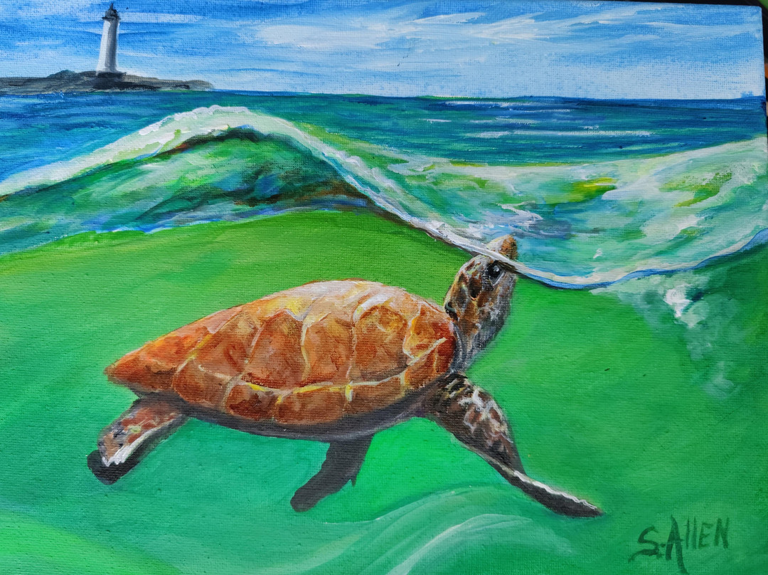 Art Ocracoke Gallery景点图片
